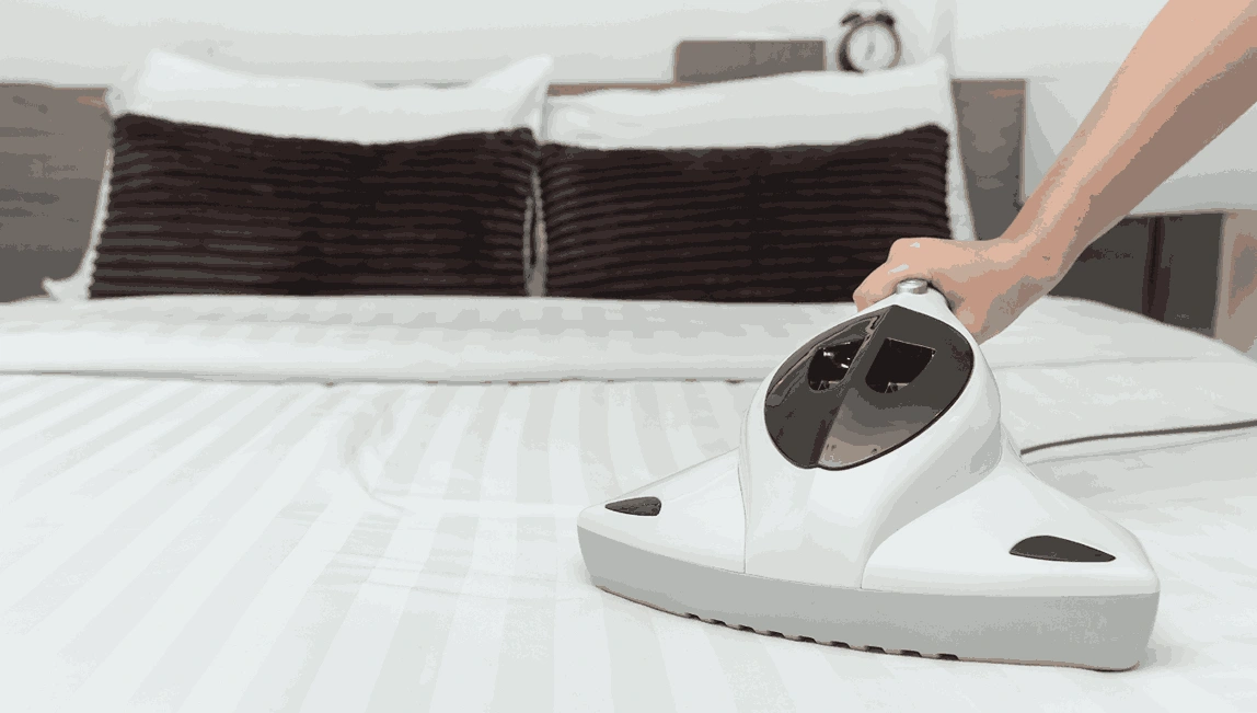 Professional Mattress Cleaning Wendouree Village